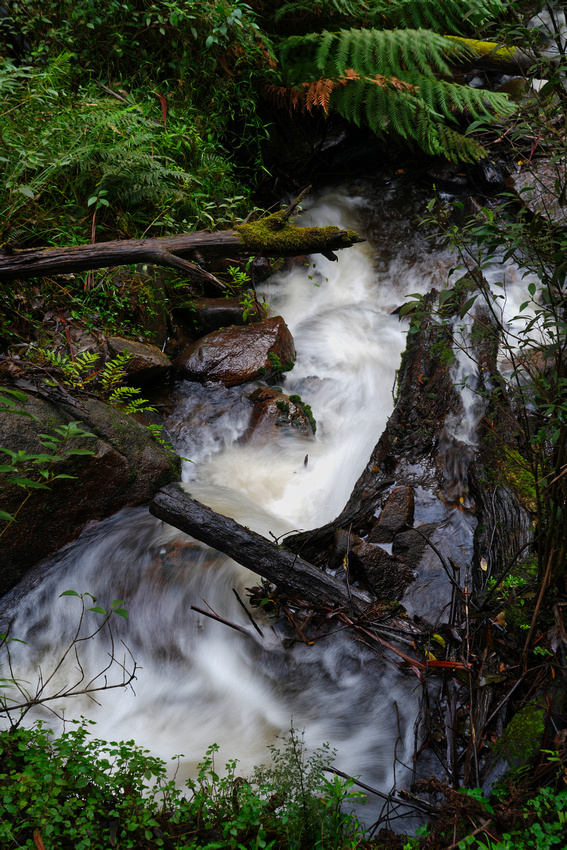 Toorongo Falls, Noojee