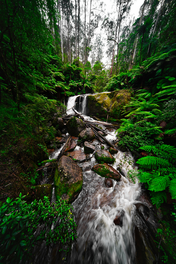 Toorongo Falls, Noojee