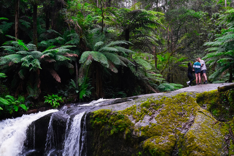 Toorongo Falls, Noojee