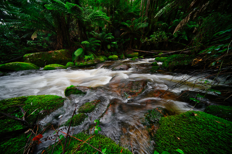 Toorongo Falls, Noojee