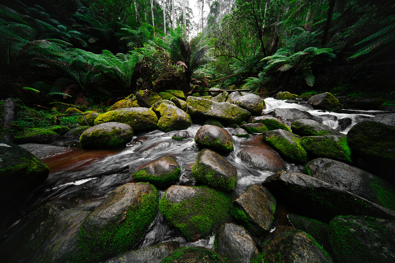 Toorongo Falls, Noojee