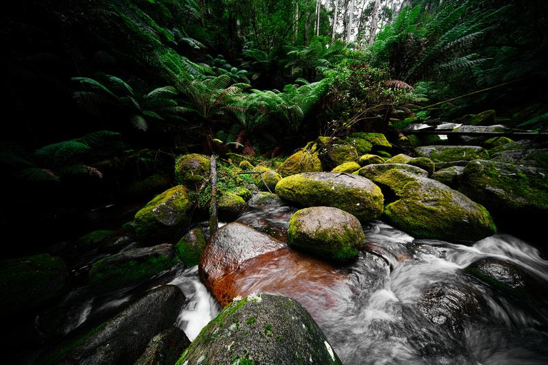 Toorongo Falls, Noojee