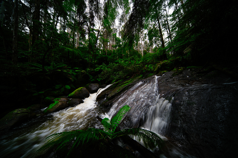 Toorongo Falls, Noojee