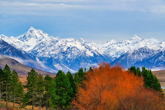 Edora, New Zealand