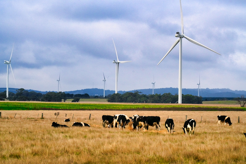 Ballarat Sceneries, Victoria