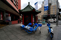 Hay Street Market and Chinese Friendship Garden, Sydney