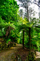 Alfred Nicholas Garden, Melbourne
