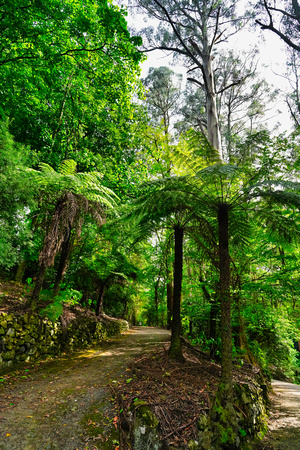 Alfred Nicholas Garden, Melbourne
