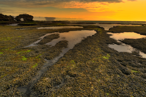 Bridgewater Bay