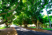 Lismore and Killen Falls