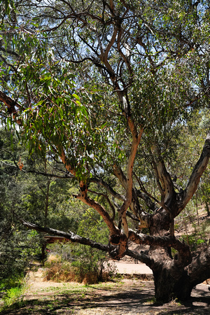 Adelaide Hills, South Australia