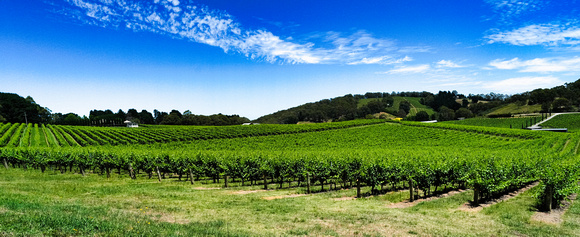 Adelaide Hills, South Australia
