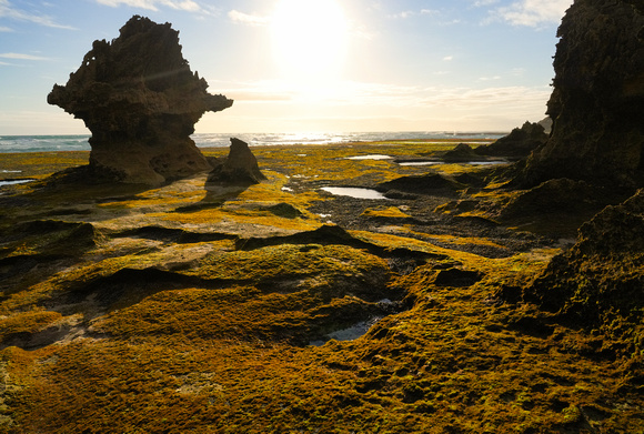 Bridgewater Bay