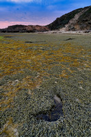 Sierra Nevada Rocks, Portsea