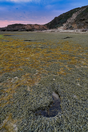 Sierra Nevada Rocks, Portsea