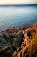 Safety Beach, Melbourne