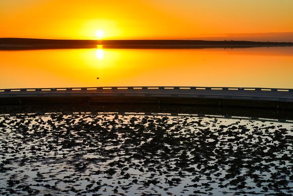 Lake Tyrrell