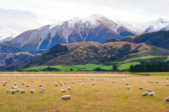 Arthurs Pass, New Zealand