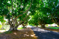 Lismore and Killen Falls