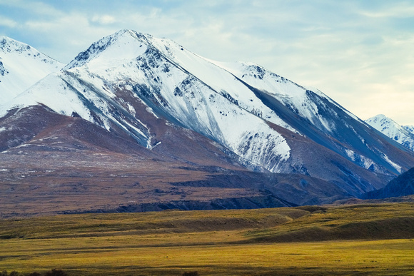 Edora, New Zealand