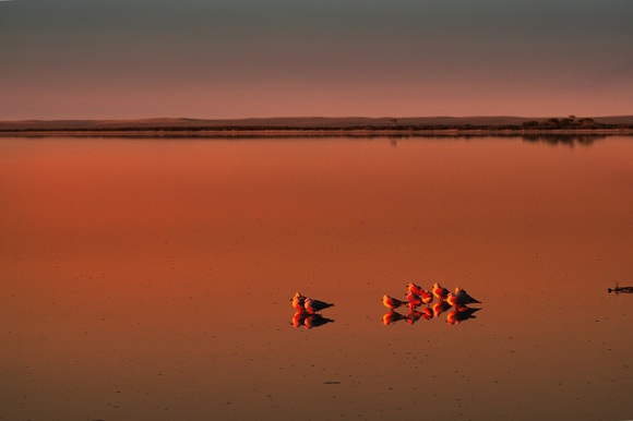 Lake Tyrrell