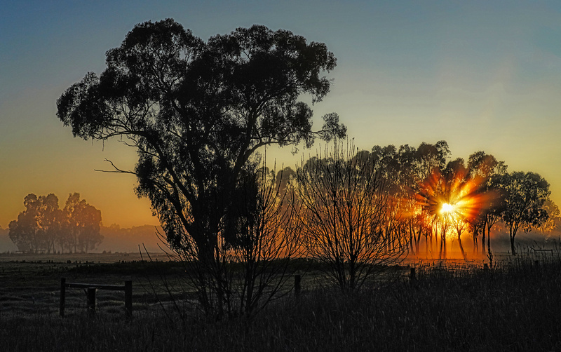 Corop Sunrise