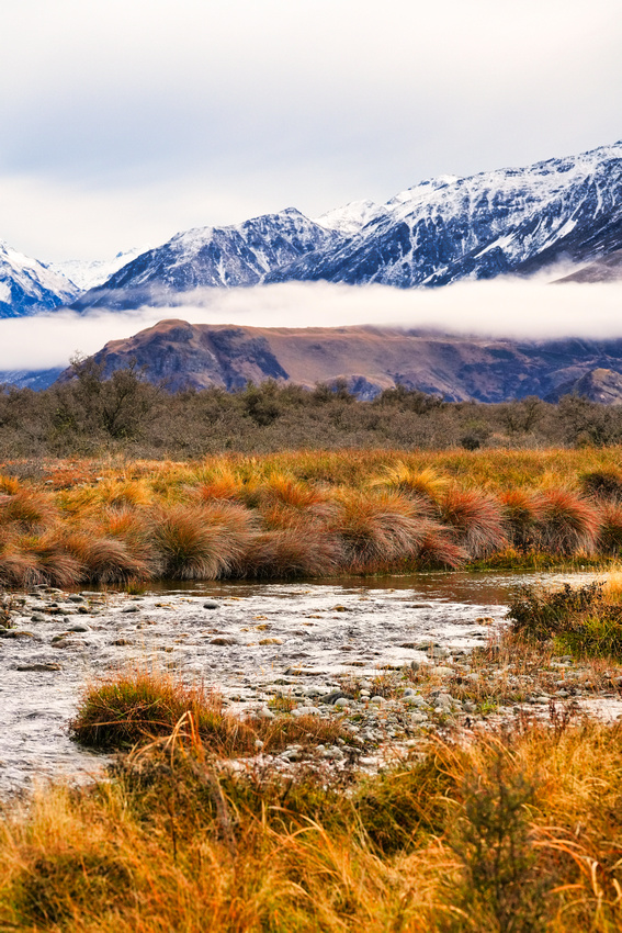 Edora, New Zealand