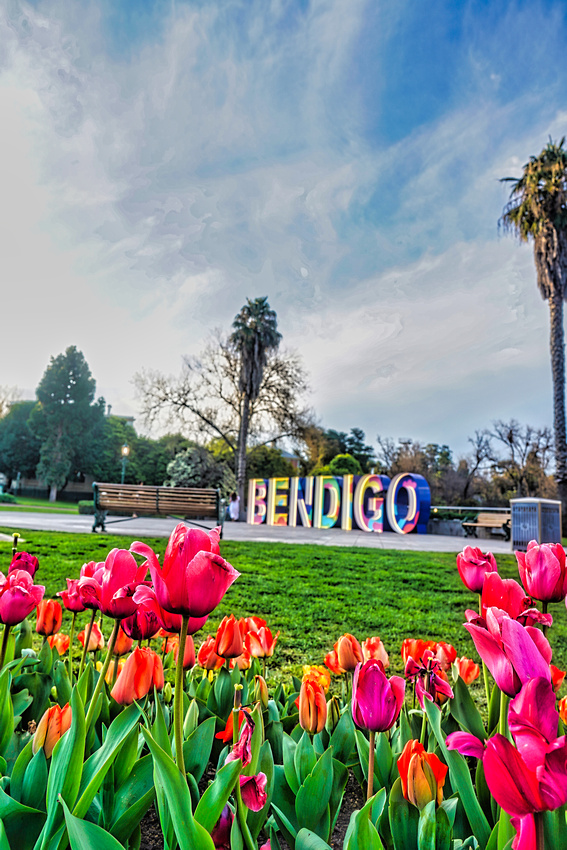 Bendigo Bloom Festival