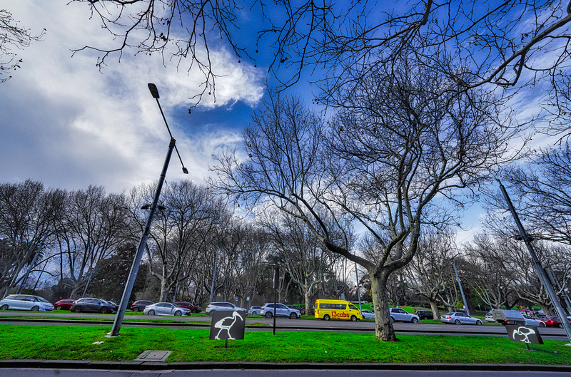 NGV Melbourne Street photography