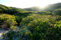 Bridgewater Bay, Mornington Peninsula