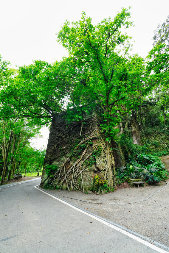 Long Teng Broken Bridge, Taiwan