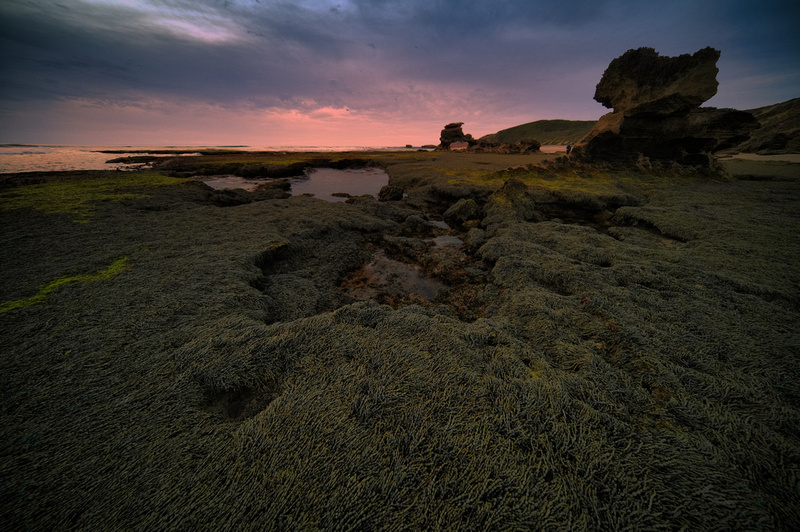 Sierra Nevada Rocks, Portsea
