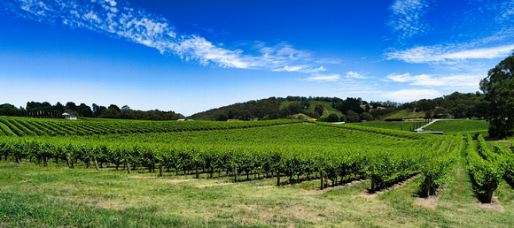 Adelaide Hills, South Australia