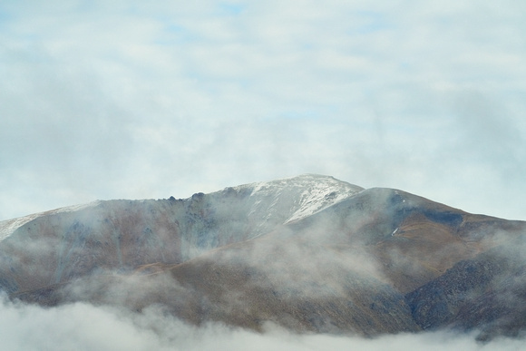 Edora, New Zealand