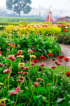 Flower Market, Taiwan