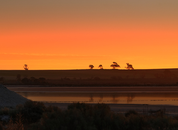 Lake Tyrrell