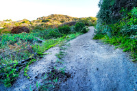 Bridgewater Bay, Mornington Peninsula