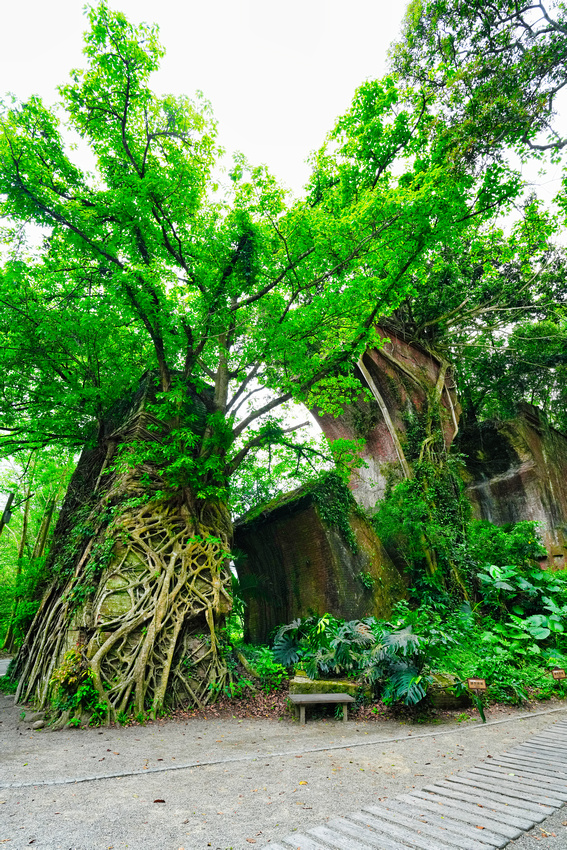 Long Teng Broken Bridge, Taiwan