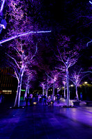 Melbourne Night CBD