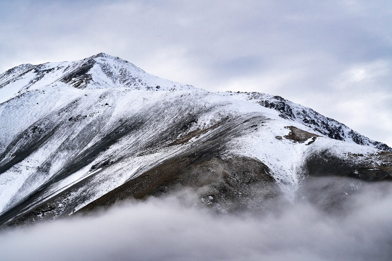 Edora, New Zealand