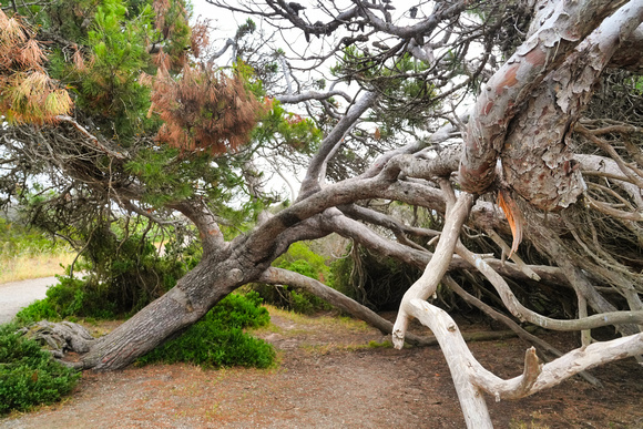 Victor Harbour, South Australia